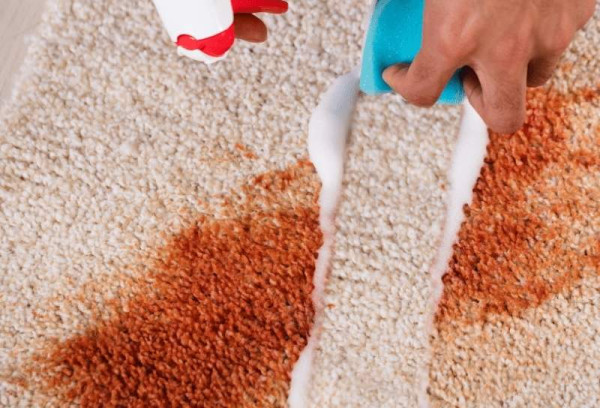 How To Remove Ketchup From Carpet? 6 Easy Steps To Do At Home
